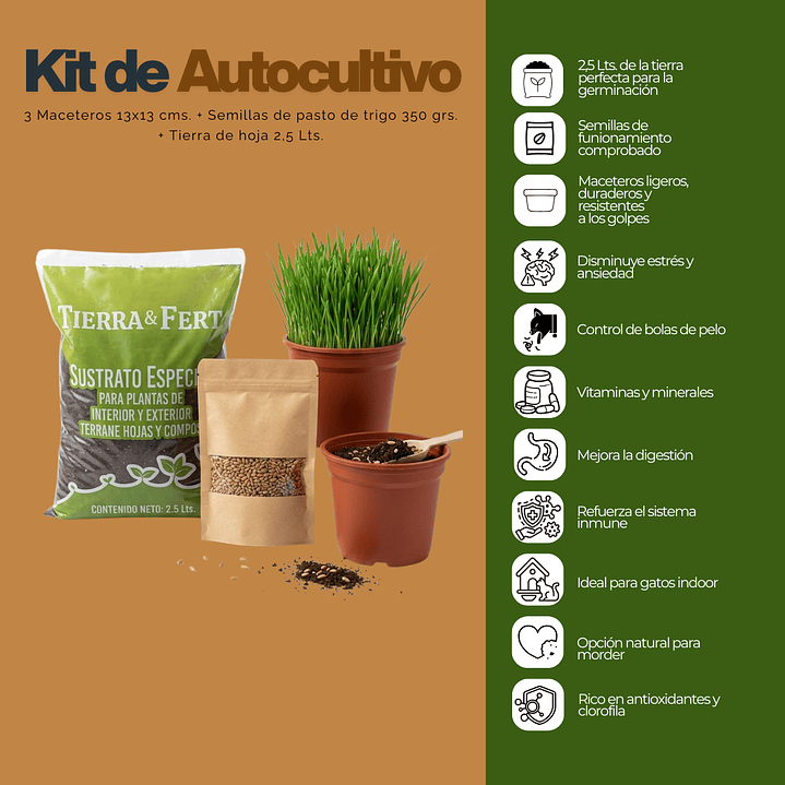 Kit Cultivo Pasto de Trigo (De Hierba Gatera) con Maceteros 2