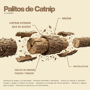 Palitos Catnip Juguete Snack Dental Gatos 5 Unidades