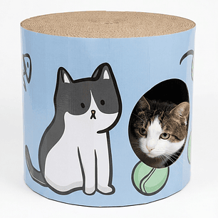 Casa Rascador Gato Cartón Diseño Blue Azul