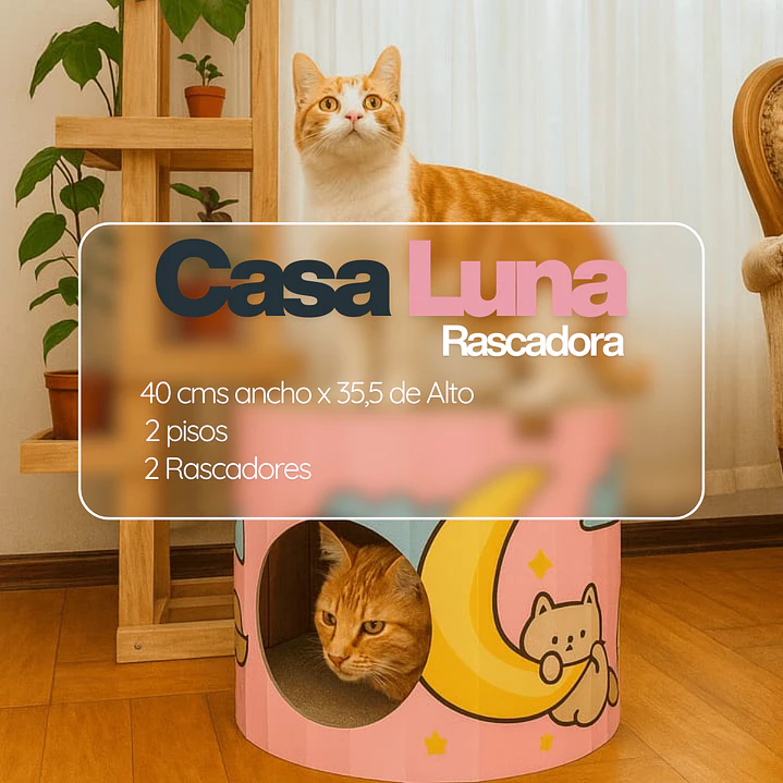 Casa Rascador Gato Cartón Diseño Luna Rosada 2