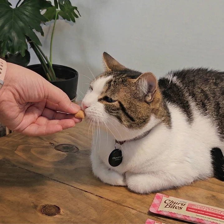Snack Gato Churu Bites Wraps Atún con Salmón 5