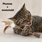 Juguete matatabi con plumas  - Miniatura 2