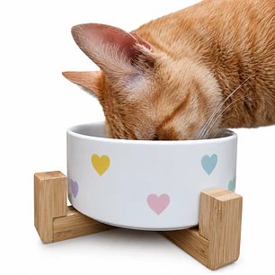 Plato cerámica para mascotas con base de  madera 