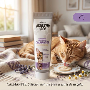 Pasta calmante para gatos  HEALTHY LIFE 