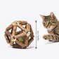 Pelota de palitos de catnip más bolsa de catnip dental sticks - Miniatura 2