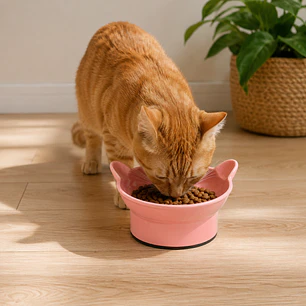 Plato inclinado Orejitas para Gato