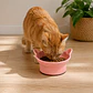 Plato inclinado Orejitas para Gato - Miniatura 2