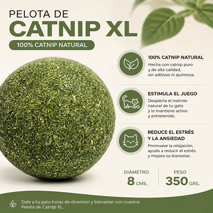 Pelota de Catnip XL para Gatos 8 cm | Juguete Interactivo con Hierba Gatera Natural 2