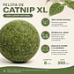 Pelota de Catnip XL para Gatos 8 cm | Juguete Interactivo con Hierba Gatera Natural - Miniatura 2