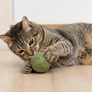 Pelota Juguete Catnip XL para Gatos - 8 cm