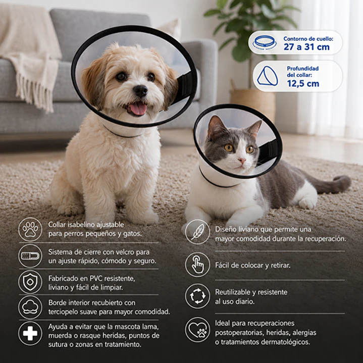 Collar Isabelino Ajustable Para Perro Pequeño Y Gato 27-31 Cm Diámetro cuello 2