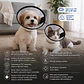 Collar Isabelino Ajustable Para Perro Pequeño Y Gato 27-31 Cm Diámetro cuello - Miniatura 2