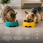 Plato para Gato de Colores  – Acero Inoxidable Removible - Miniatura 2