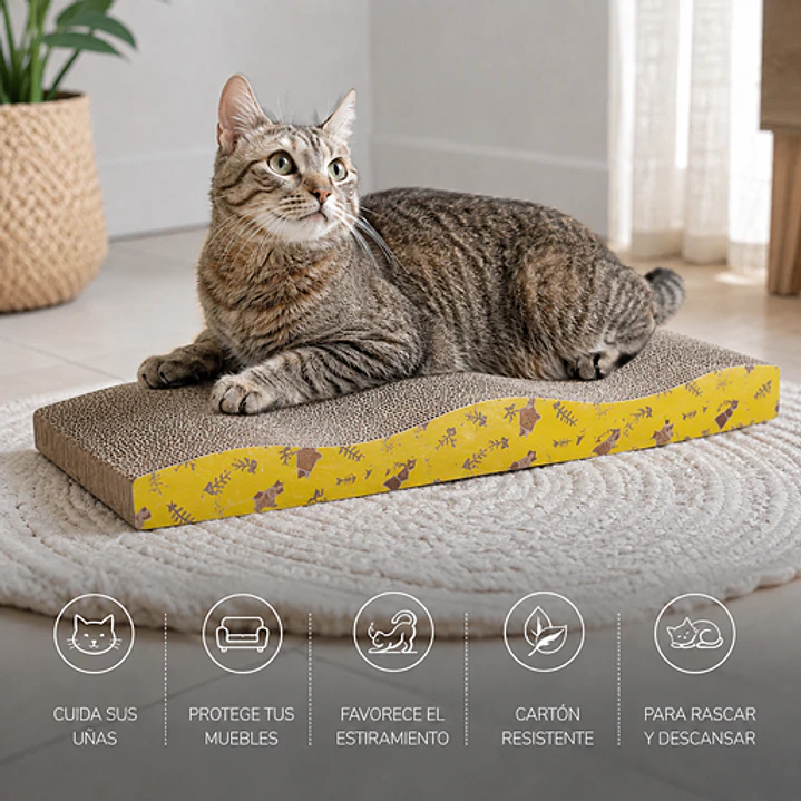 Rascador para Gatos Ondulado + Catnip de Regalo 2