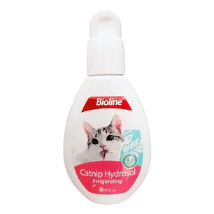 Catnip hydrosol destilado de Hierba Gatera