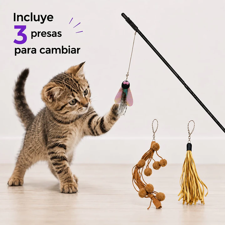 Vara 3 presas intercabiables Juguete gato - Mosca, Pompones y Tiras 6