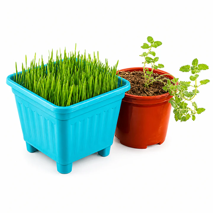 Pack Antiestrés y Control de bolas de pelo para gatos - En Maceteros 2