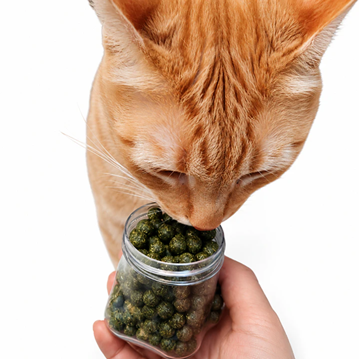 Juguete para Gato Mini Bolitas de Catnip - 110 grs. 3