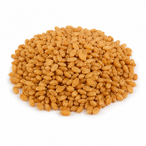 Semillas de Pasto para Gatos Control de bolas de pelo - 300g