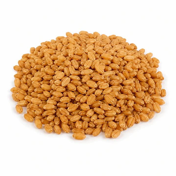 Semillas de Pasto para Gatos Control de bolas de pelo - 200g  1