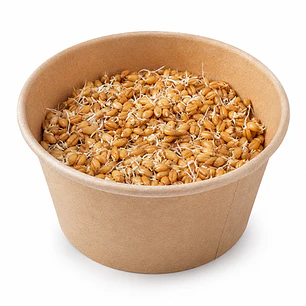 Semillas de Pasto para Gatos Control de bolas de pelo - 100g 