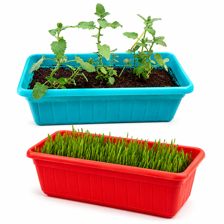 Pack Pasto para Gatos y Hierba Gatera Natural - Jardineras 1
