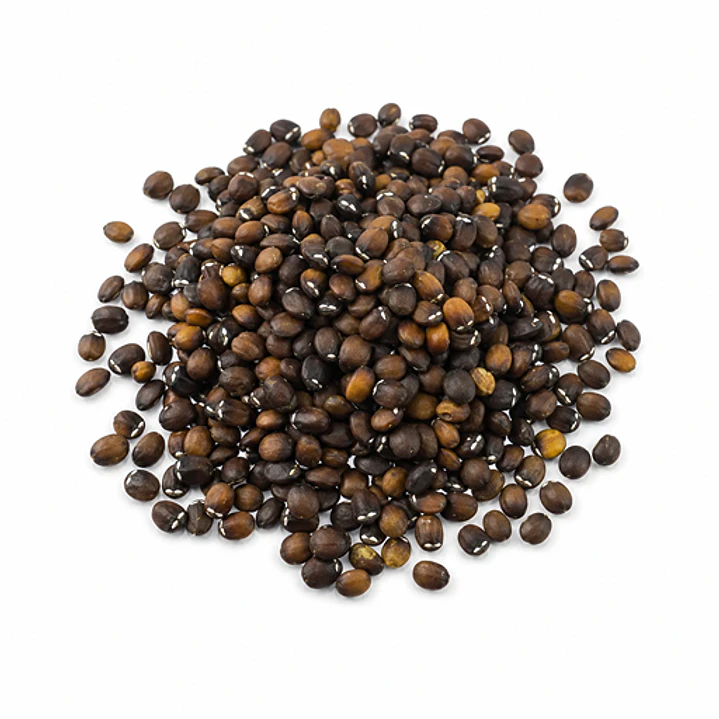 Semillas de Hierba Gatera - Planta Catnip 30 Unidades 1