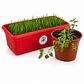 Kit Control bolas de pelo + Diversión&Relajo - Jardinera de Pasto + Catnip - Miniatura 1