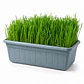 Pasto para Gatos Control bolas de pelo - Jardinera 35 x 15 cms. - Miniatura 1
