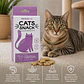 Cats Snack Galletas Sabor Camarón & Hierba Gatera - 80gr Marben Pets - Miniatura 2