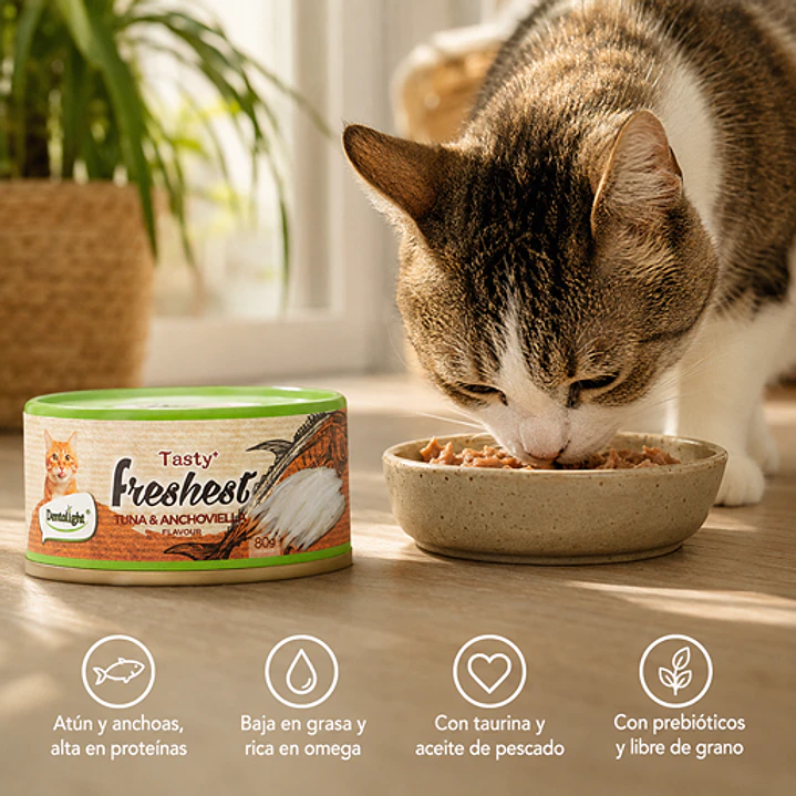 Tasty Freshest Lata de Atún y Anchoas -  80g Alimento Gato 2