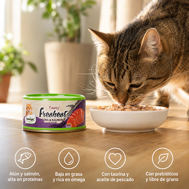Tasty Freshest Lata de Atún y Salmón - 80g Alimento Gato 2