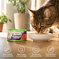 Tasty Freshest Lata de Atún y Salmón - 80g Alimento Gato - Miniatura 2