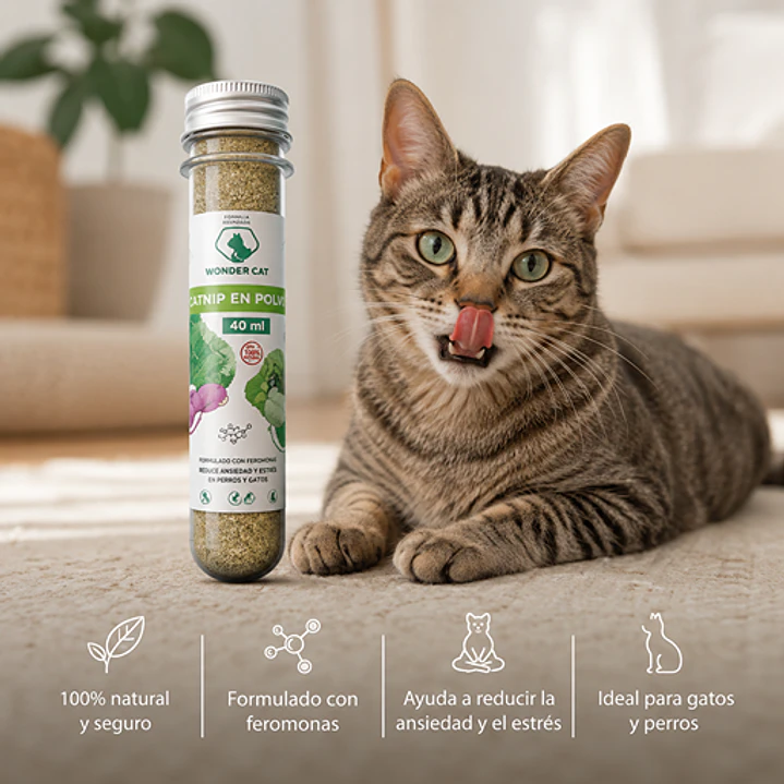 Hierba Gatera en Tubo polvo - 40 ML Wonder Cat 2