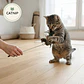 Vara con pelota de catnip  más plumas  Juguete gatos  - Miniatura 2
