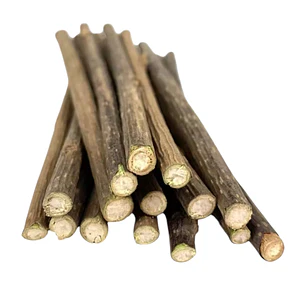 Palitos de Catnip - 5 unidades - Juguete para gatos 