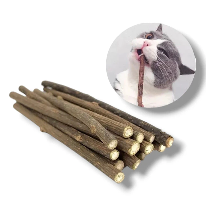 Palitos de Catnip - 5 unidades - Juguete para gatos  1