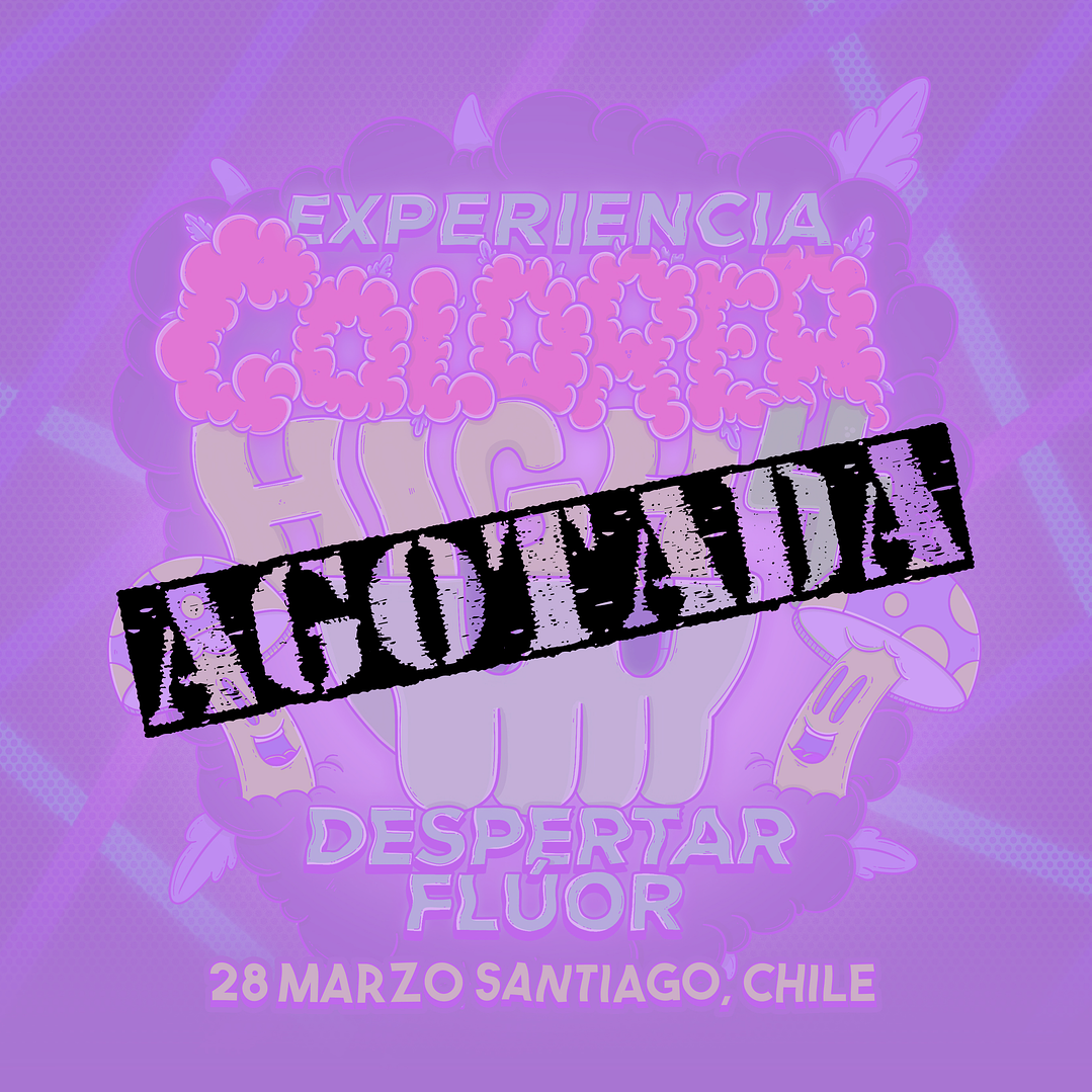 4ta Experiencia Colorea High  1
