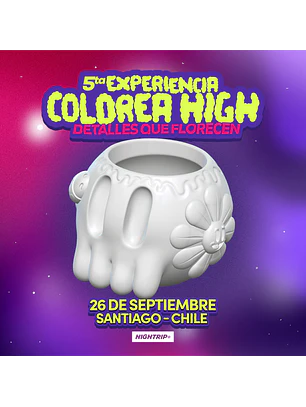 5ta Experiencia Colorea High