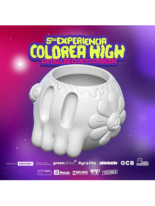 5ta Experiencia Colorea High