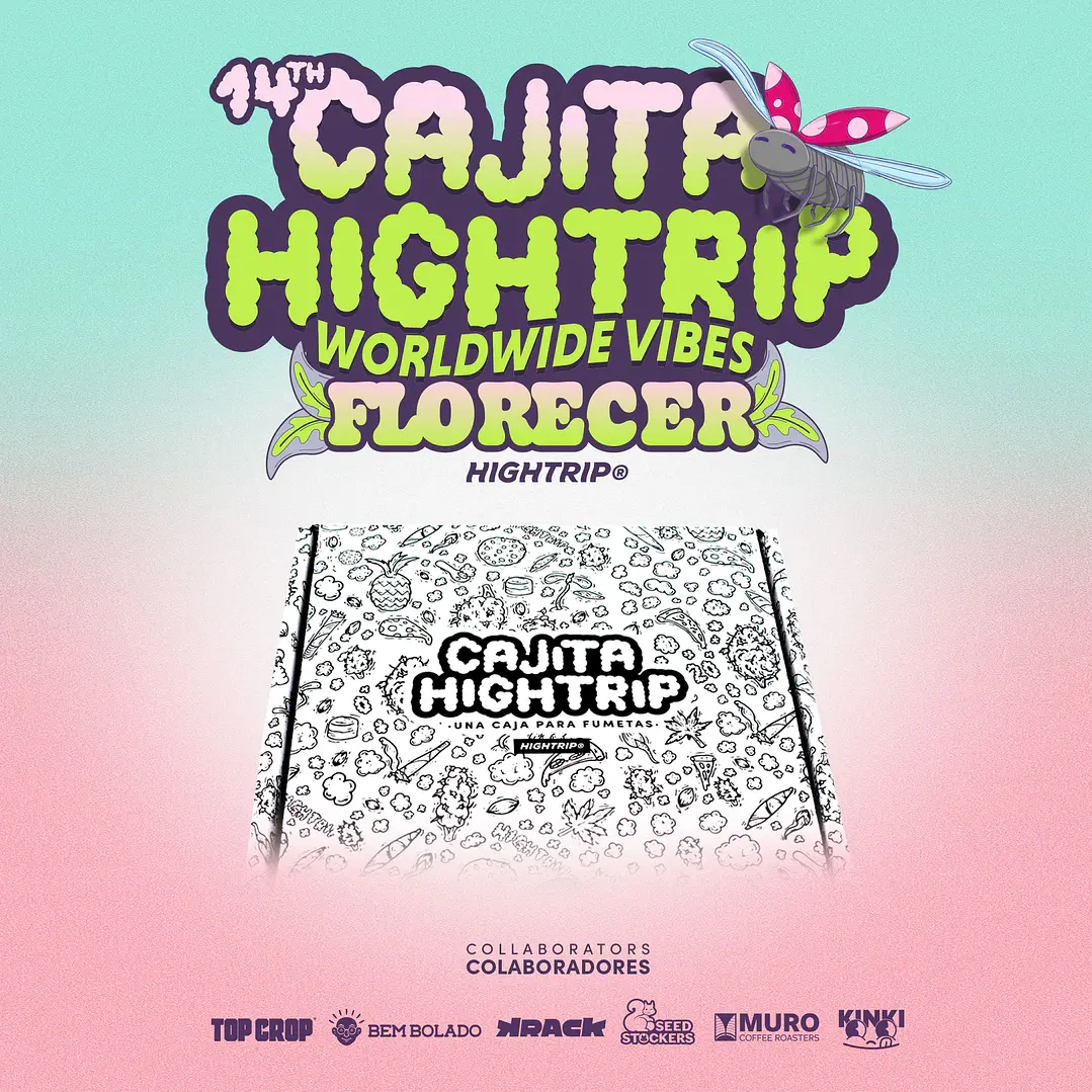 Hightrip Box No. 14 