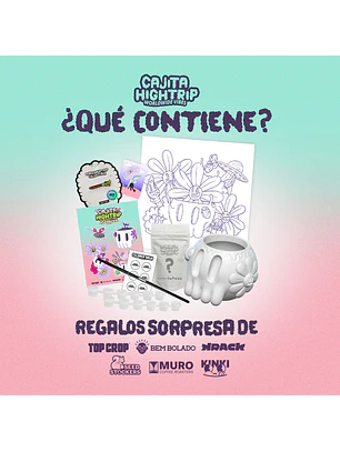 Cajita Hightrip Nº14 