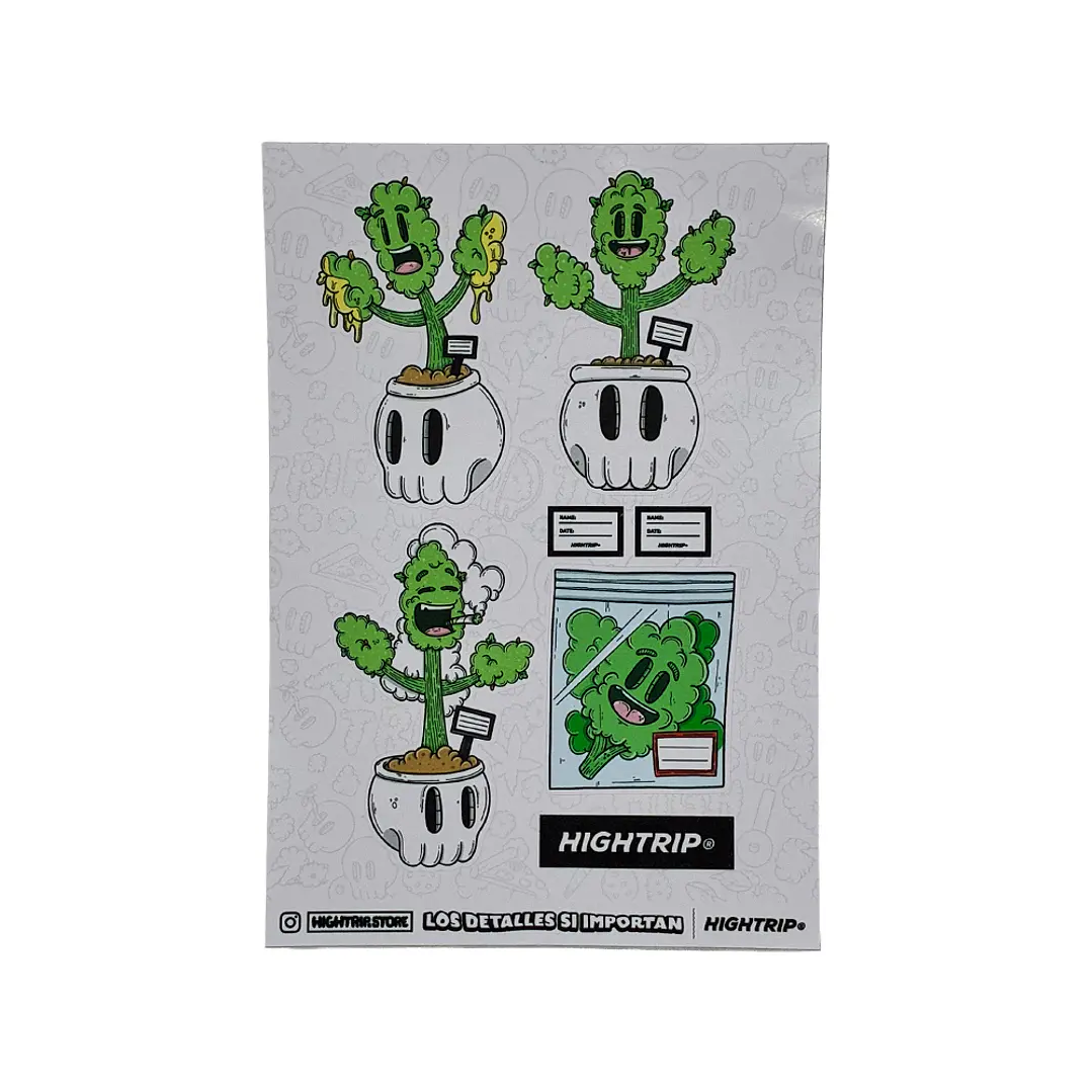 Pinta tu Planta Hightrip 7