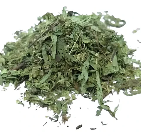 Estevia 