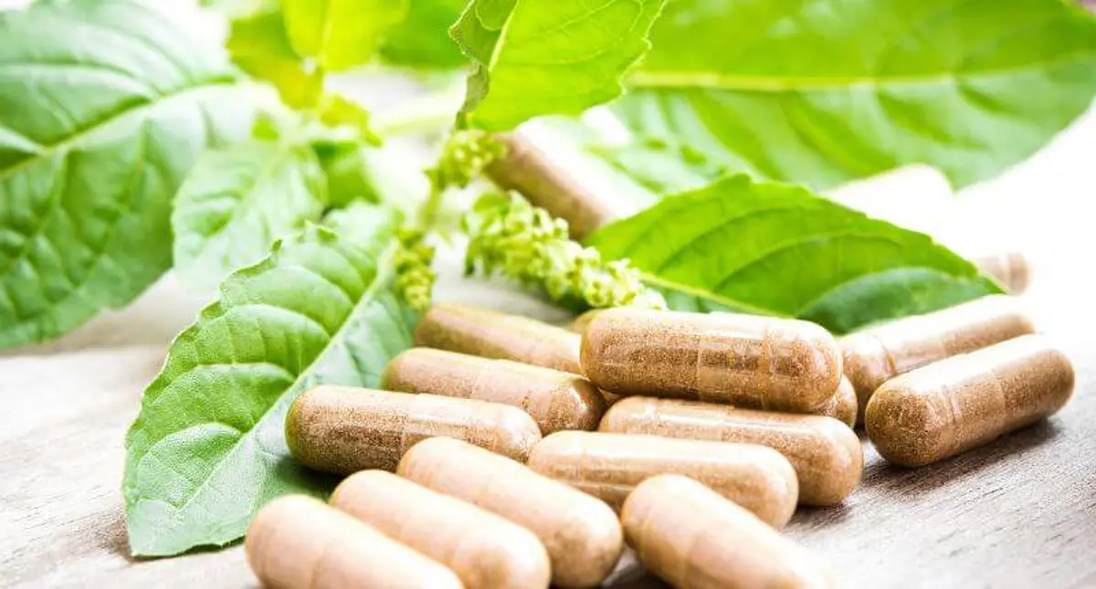 Suplementos