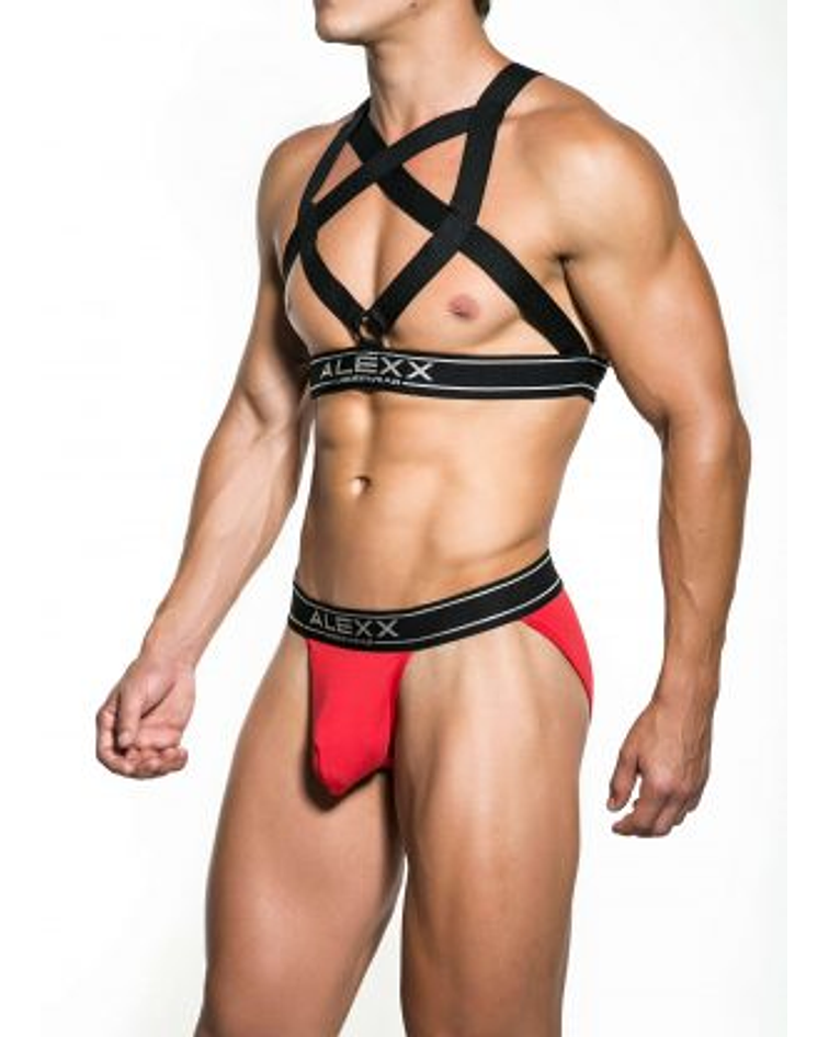 PARTY HARNESS – ALU001