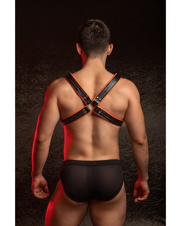 PLAY FUN LEATHER HARNESS