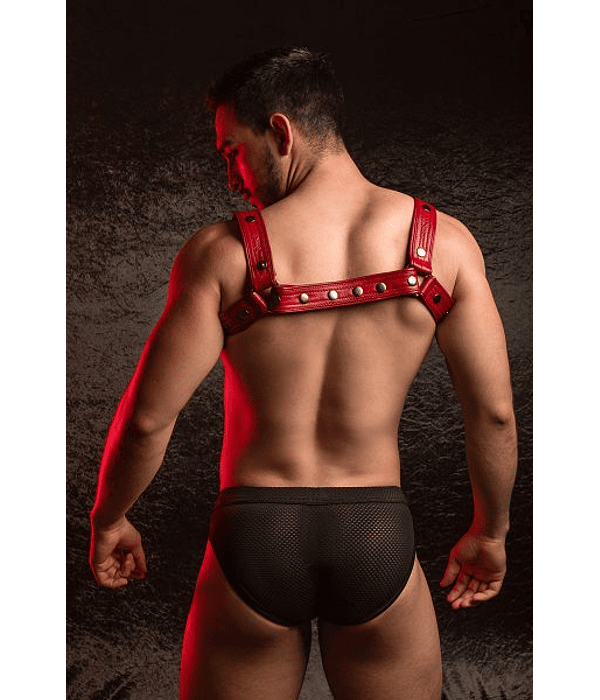 HORNY DUDE ADJUSTABLE HARNESS