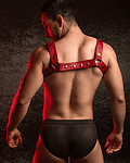 HORNY DUDE ADJUSTABLE HARNESS