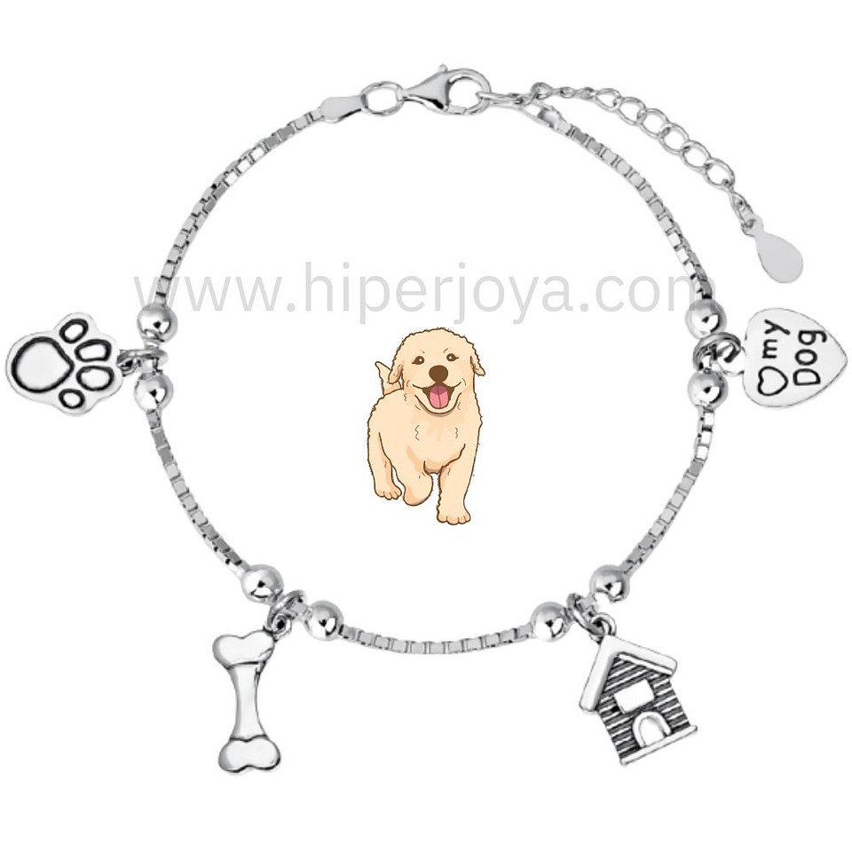 Pulsera de la mascota dog plata 1